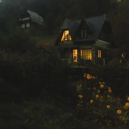 Son Mandrivnyka *